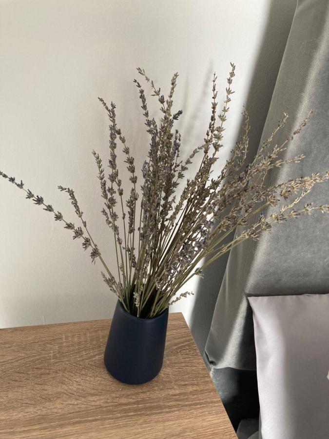קרו Cheshire Home Stays מראה חיצוני תמונה